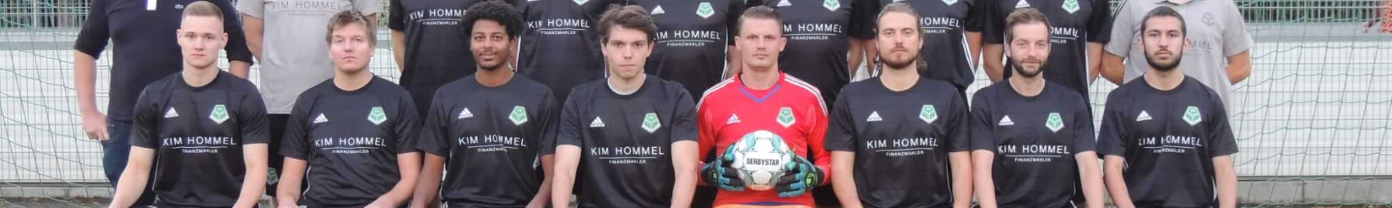 Trikots-Sponsoren (2)