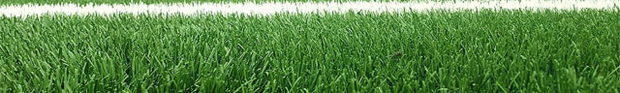 2013 hatten wir endlich Kunstrasen!!